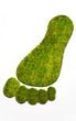 Eco footprint illustrating the human footprint on nature
