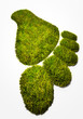 Eco footprint illustrating the human footprint on nature