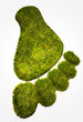 Eco footprint illustrating the human footprint on nature