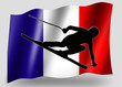 Country Flag Sport Icon Silhouette French Ski