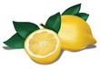 Limoni