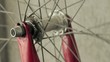 Ruota bicicletta