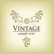 Elegant vintage frame