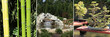 zénitude en jardin aquatique zénitude en jardin aquatique