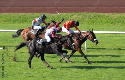 Photo: galop galop
