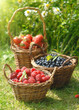 Summer fruit