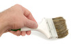 Male Hand With Brush