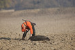 erfolgreiche Jagd auf Schwarzwild