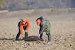 Erfolgreiche Wildschweinjagd
