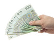 Polish money in hand. Clipping path included.