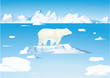 Eisbär und Eisbären