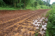 Dirty road