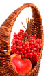 guelder rose and apple in basket