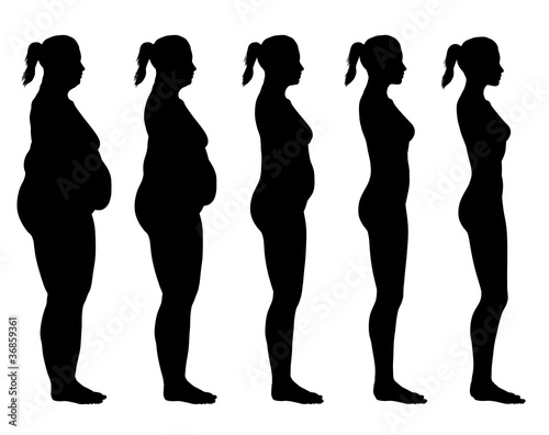 Illustration: Obese to Skinny Female Silhouette Side View Obese to Skinny Female Silhouette Side View