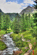 ruscello di montagna