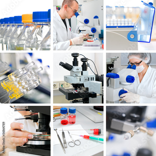Photo: Microscopes in the modern lab setting, collage Microscopes in the modern lab setting, collage