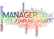 Manager
