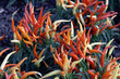 piments piments