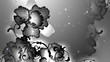 Black orchids.