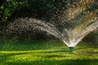 Watering garden sprinkler