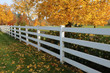 White fences.