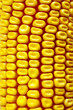 Background Corn