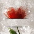 Sfondo con fiore arancione - Orange flower background