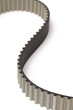 Timing belt
