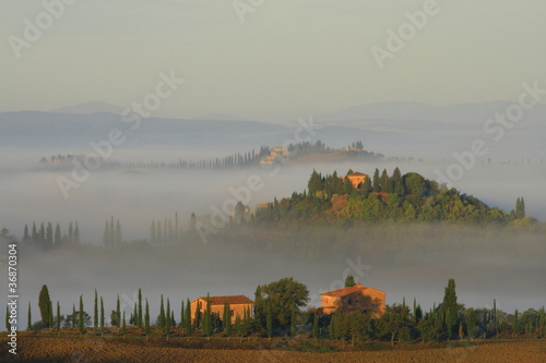 Foto: Podere, Bauernhaus,Zypressen,Morgennebel,Toskana,Italien Podere, Bauernhaus,Zypressen,Morgennebel,Toskana,Italien
