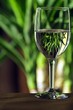 Photo: Right Side of White Wine Right Side of White Wine