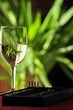 Photo: White Wine & Zen Garden White Wine & Zen Garden