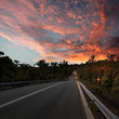 Illustration: Asphalt road in countryside Asphalt road in countryside