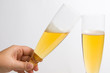 Brindis