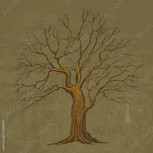 Vector: Big Tree vector illustration Big Tree vector illustration