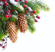 Art Christmas tree sheltered snow