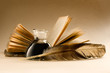An old book with a feather and the inkpot full of ink
