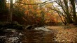 falling leaves