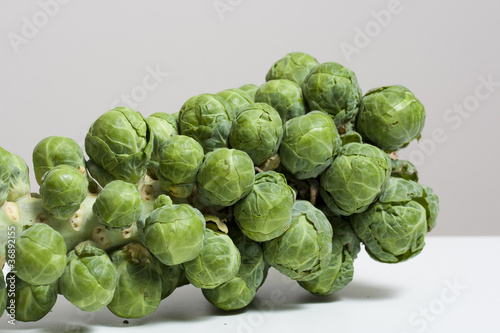 Photo: Rosenkohl Rosenkohl