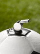 ball and whistle