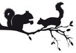 squirrels on tree branch, vector