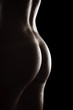 Woman torso, nude