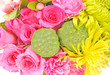 flower and lotus and seed