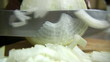 Onion