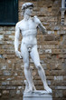 david