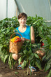 woman is picking of  pepper