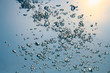 water bubbles water bubbles