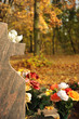 Friedhof 12