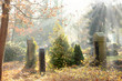 Friedhof 17