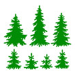 Vettoriale: Fir-trees Fir-trees