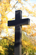 Friedhof 20